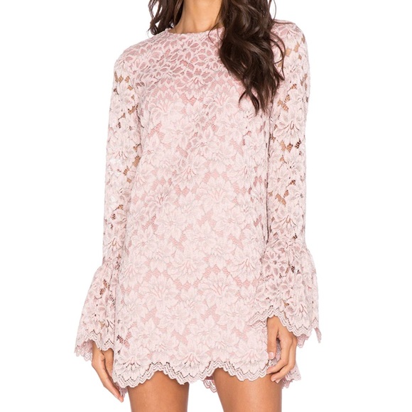 Alexis Dresses & Skirts - ALEXIS RUSTAM LACE SHIFT DRESS IN SOFT PINK BLUSH SIZE L